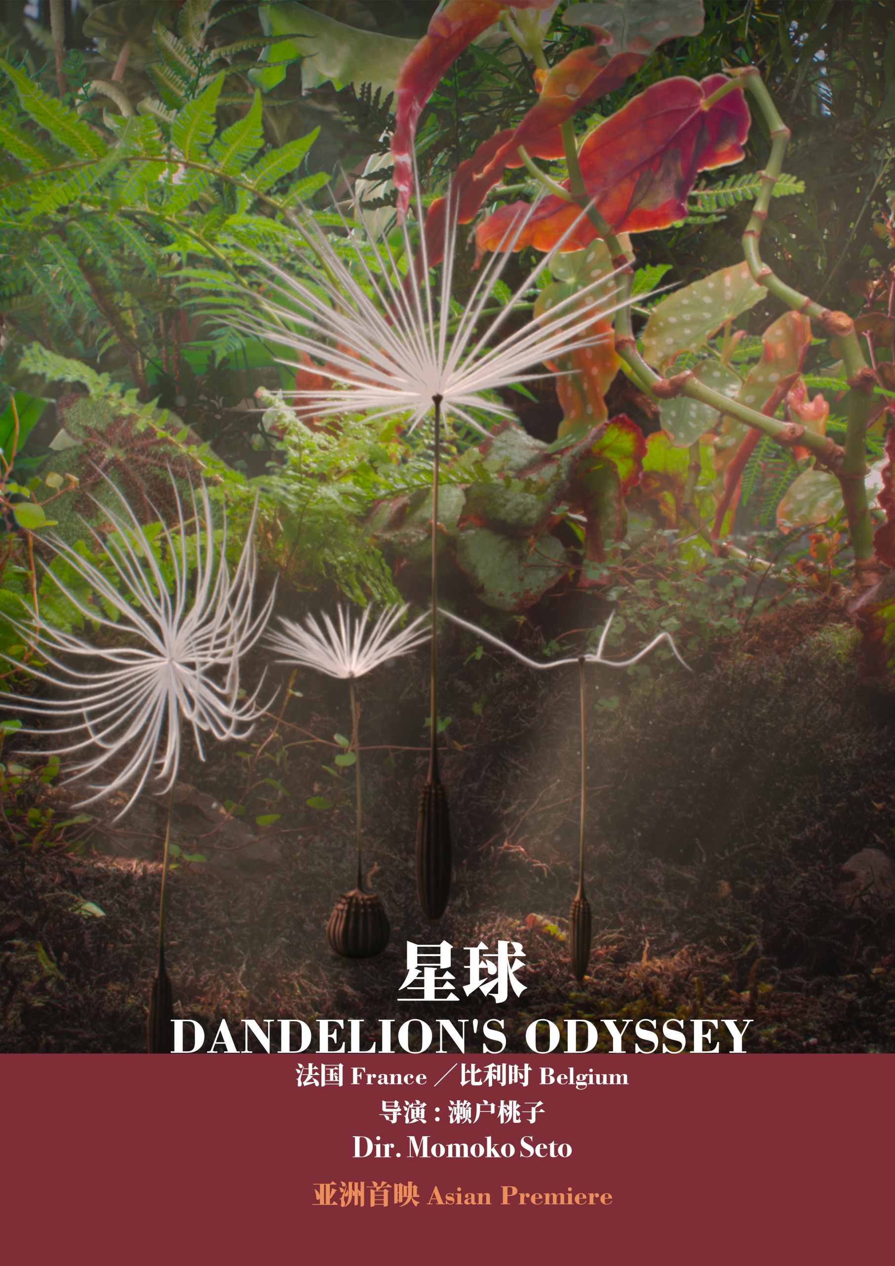 DANDELION'S ODYSSEY poster